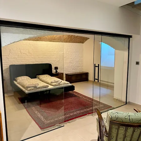Διαμέρισμα Zentrale Duplex Art & Design Flat: Garten, Bbq, Kino, 160m2